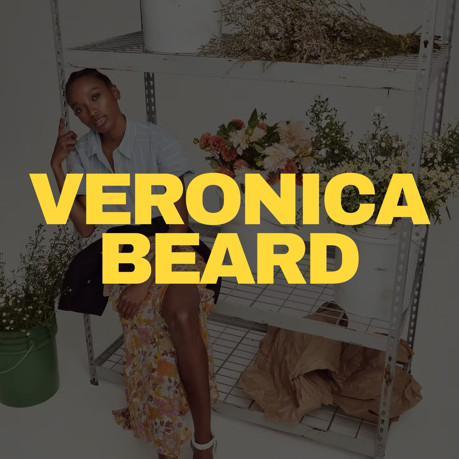 VERONICA BEARD